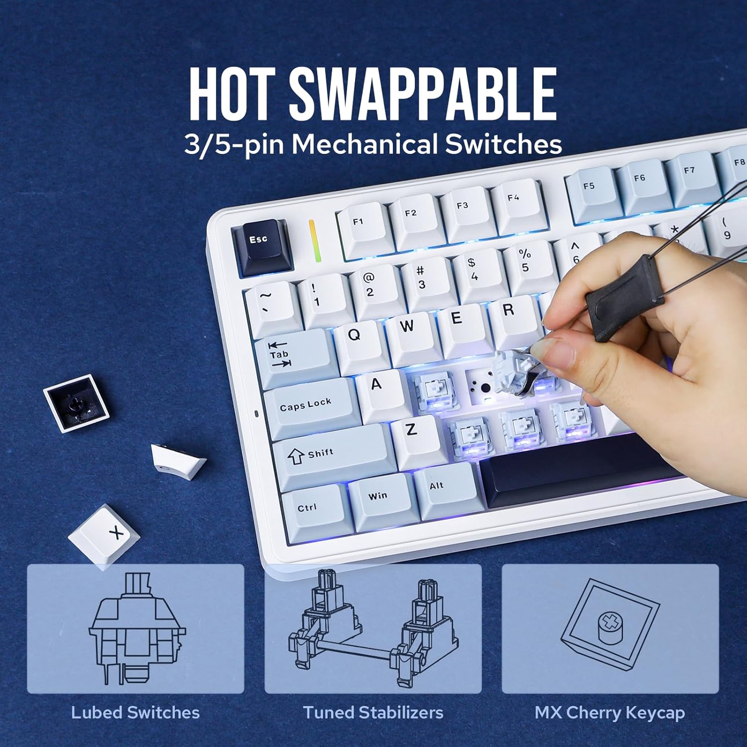 EPOMAKER X AULA F99 PRO Wireless Gaming Keyboard, Hot Swappable Custom Keyboard, 2.4GHz/Type-C/BT5.0 Mechanical Keyboard with 8000mAh Battery, RGB Backlit Gaming Keyboard (Blue&White) EPOMAKER X AULA F99 PRO Wireless Gaming Keyboard, Hot Swappable Custom Keyboard, 2.4GHz/Type-C/BT5.0 Mechanical Keyboard with 8000mAh Battery, RGB Backlit Gaming Keyboard (Blue&White)