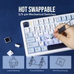 EPOMAKER X AULA F99 PRO Wireless Gaming Keyboard, Hot Swappable Custom Keyboard, 2.4GHz/Type-C/BT5.0 Mechanical Keyboard with 8000mAh Battery, RGB Backlit Gaming Keyboard (Blue&White)