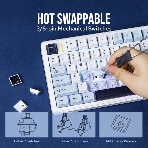 EPOMAKER X AULA F99 PRO Wireless Gaming Keyboard, Hot Swappable Custom Keyboard, 2.4GHz/Type-C/BT5.0 Mechanical Keyboard with 8000mAh Battery, RGB Backlit Gaming Keyboard (Blue&White)