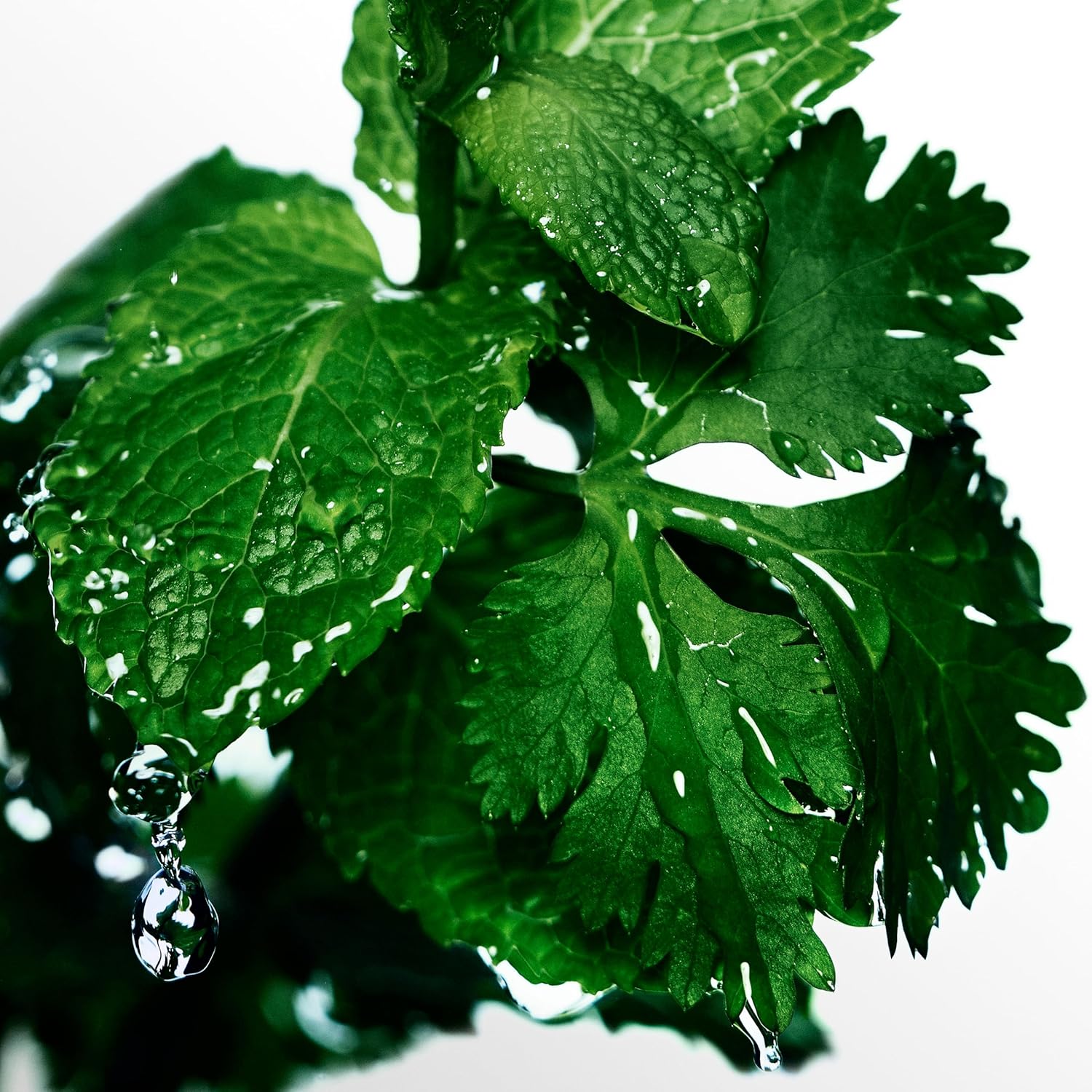 Davidoff Cool Water Perfume for Men Eau De Toilette 200ML