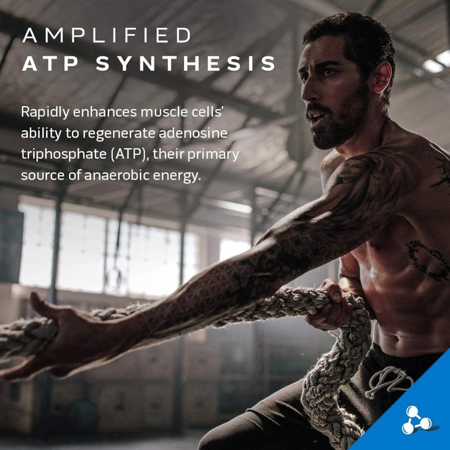 MuscleTech Cell-Tech Creactor Creatine HCl + Free-Acid Creatine Increase Muscle Building, Boost Strength, Improve Performance & Fast Recovery Post-Workout Drink, Fruit Punch Extreme Flavor 120 Serving