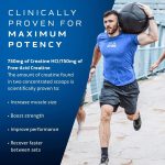 MuscleTech Cell-Tech Creactor Creatine HCl + Free-Acid Creatine Increase Muscle Building, Boost Strength, Improve Performance & Fast Recovery Post-Workout Drink, Fruit Punch Extreme Flavor 120 Serving
