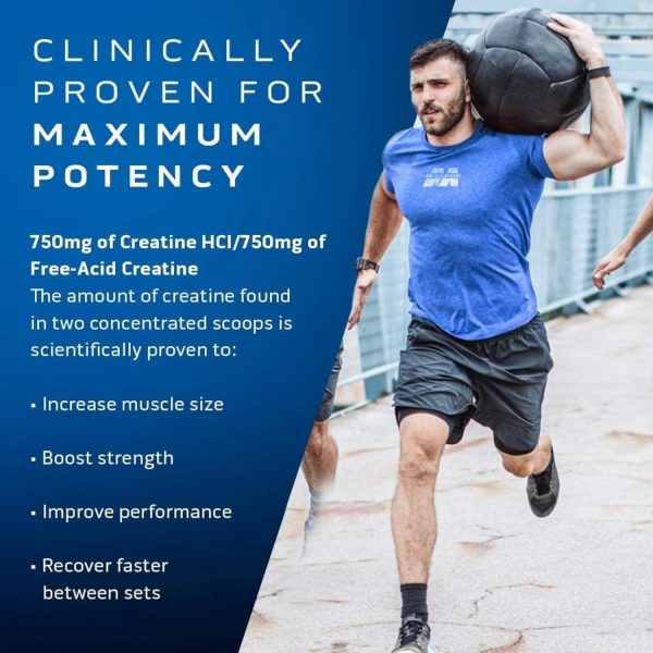 MuscleTech Cell-Tech Creactor Creatine HCl + Free-Acid Creatine Increase Muscle Building, Boost Strength, Improve Performance & Fast Recovery Post-Workout Drink, Fruit Punch Extreme Flavor 120 Serving