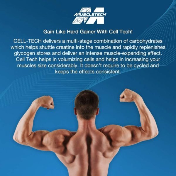 MuscleTech Cell-Tech Creactor Creatine HCl + Free-Acid Creatine Increase Muscle Building, Boost Strength, Improve Performance & Fast Recovery Post-Workout Drink, Fruit Punch Extreme Flavor 120 Serving