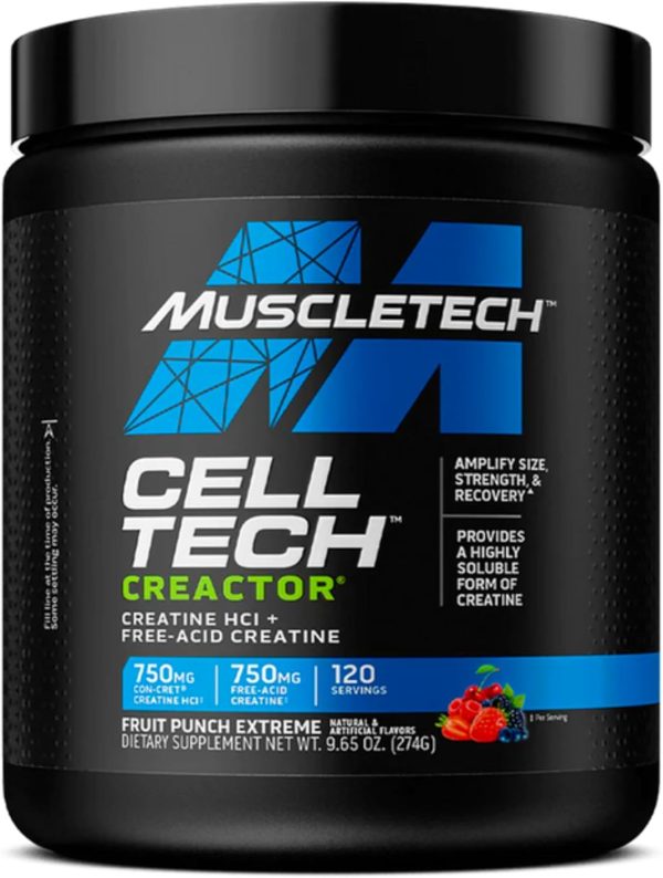 MuscleTech Cell-Tech Creactor Creatine HCl + Free-Acid Creatine Increase Muscle Building, Boost Strength, Improve Performance & Fast Recovery Post-Workout Drink, Fruit Punch Extreme Flavor 120 Serving