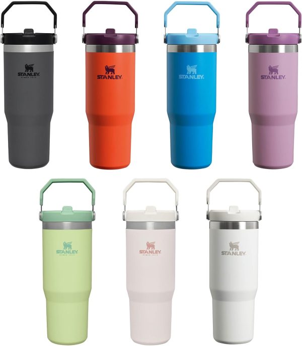 Stanley Ice Flow GO 870ml/30oz Flip Straw Wtr Btl Tigerlily