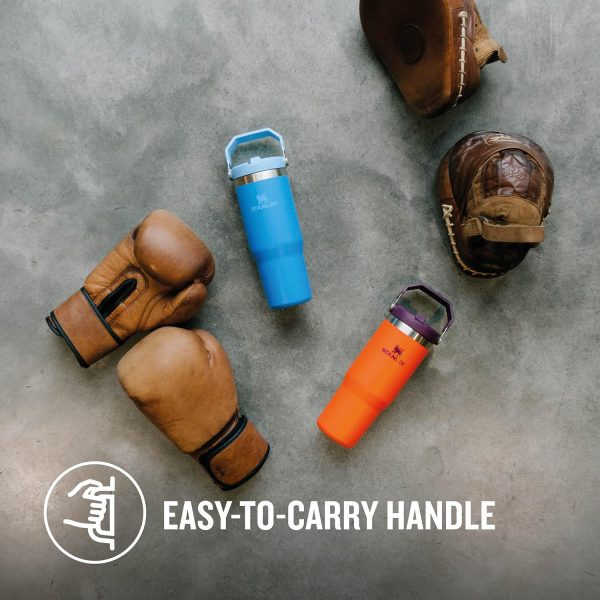 Stanley Ice Flow GO 870ml/30oz Flip Straw Wtr Btl Tigerlily